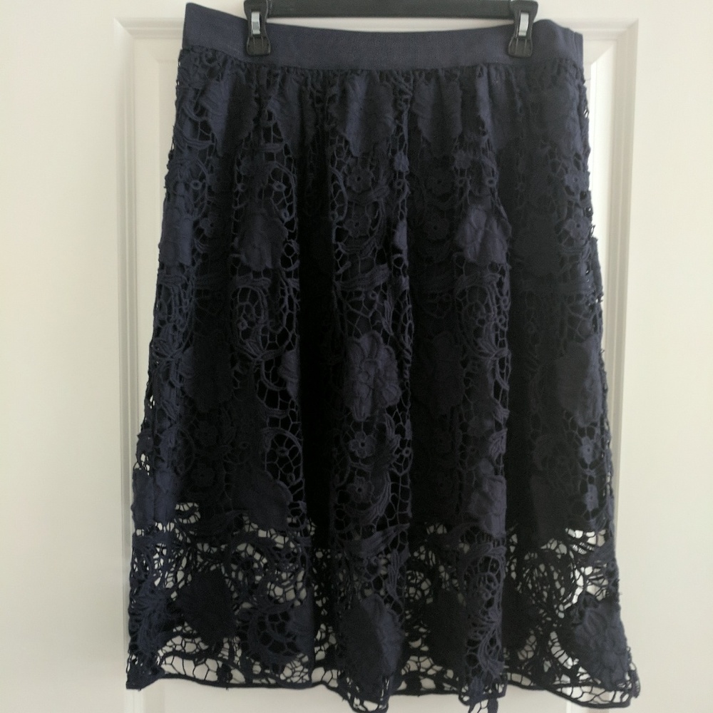 NWT Ann Taylor lace skirt